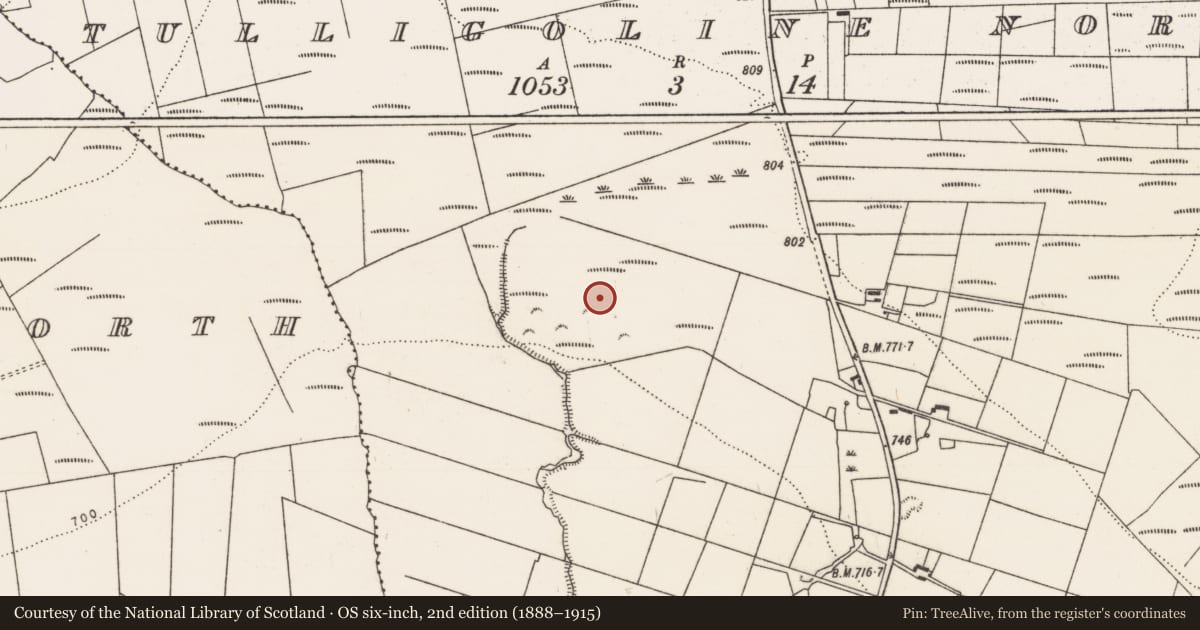 Ordnance Survey six-inch map, 2nd edition (1888–1915) covering the location of Ringfort - rath, Tulligoline North, County Limerick, with a pin at the register's coordinates