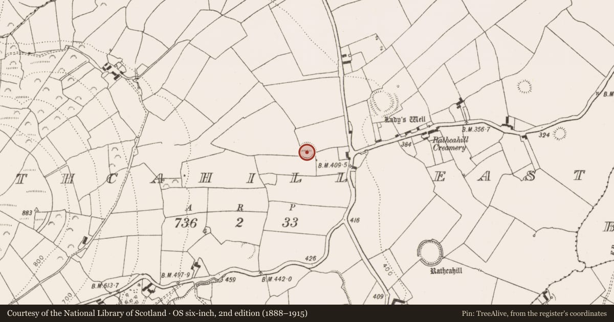 Ordnance Survey six-inch map, 2nd edition (1888–1915) covering the location of Ringfort - rath, Rathcahill East, County Limerick, with a pin at the register's coordinates