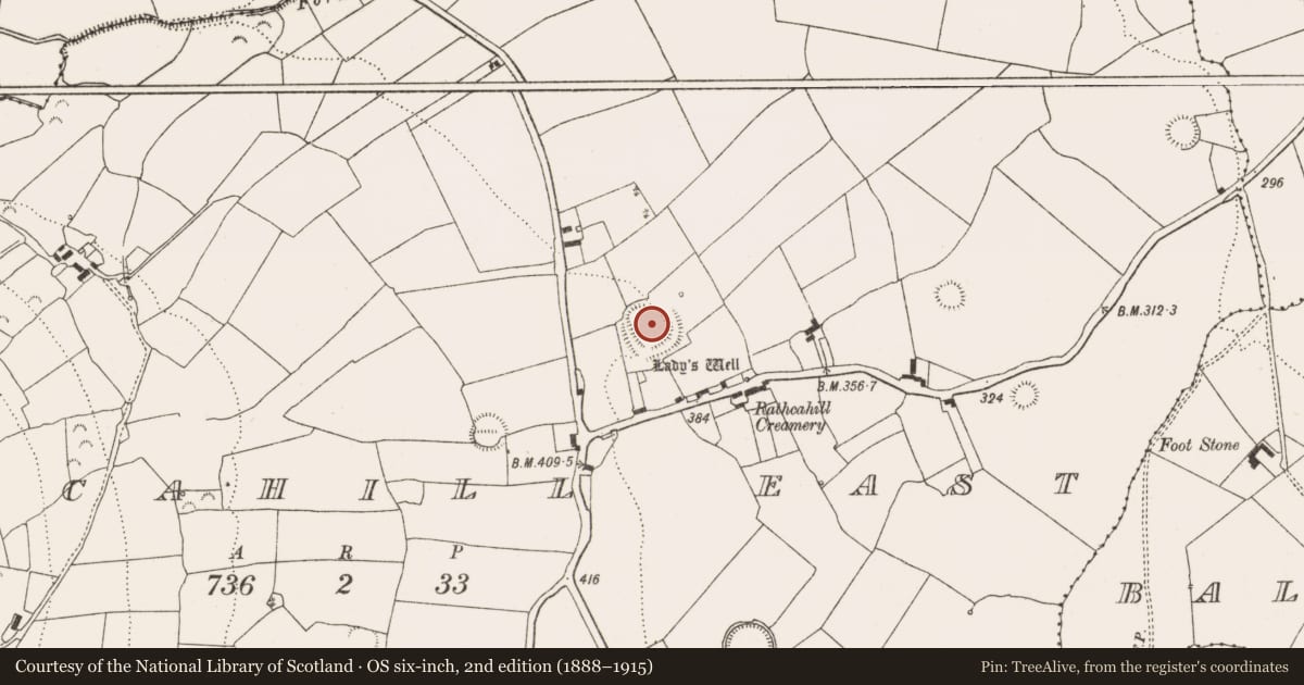 Ordnance Survey six-inch map, 2nd edition (1888–1915) covering the location of Ringfort - rath, Rathcahill East, County Limerick, with a pin at the register's coordinates