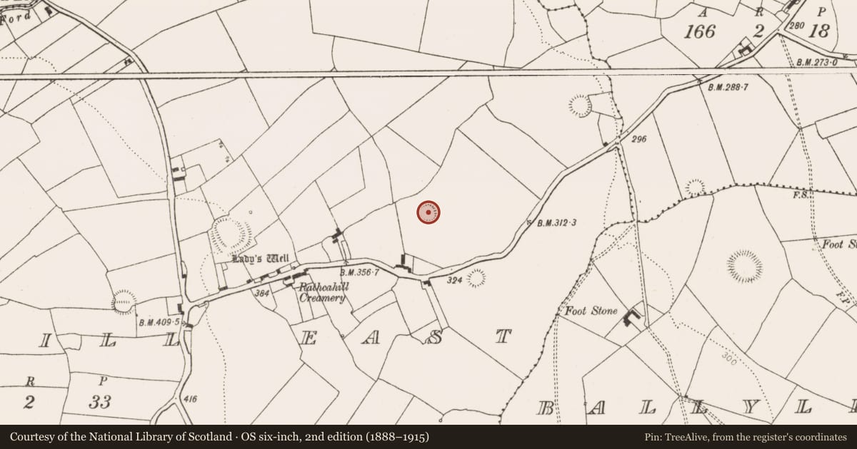 Ordnance Survey six-inch map, 2nd edition (1888–1915) covering the location of Ringfort - rath, Rathcahill East, County Limerick, with a pin at the register's coordinates