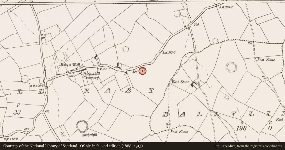 Ordnance Survey six-inch map, 2nd edition (1888–1915) covering the location of Ringfort - rath, Rathcahill East, County Limerick, with a pin at the register's coordinates