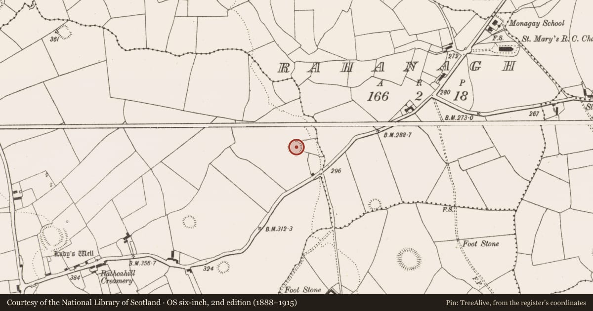Ordnance Survey six-inch map, 2nd edition (1888–1915) covering the location of Ringfort - rath, Rathcahill East, County Limerick, with a pin at the register's coordinates