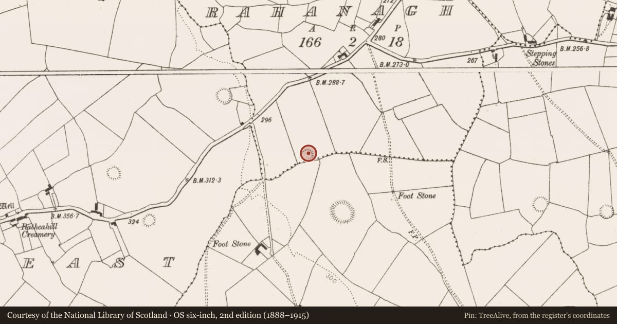Ordnance Survey six-inch map, 2nd edition (1888–1915) covering the location of Ringfort - rath, Rahanagh, County Limerick, with a pin at the register's coordinates