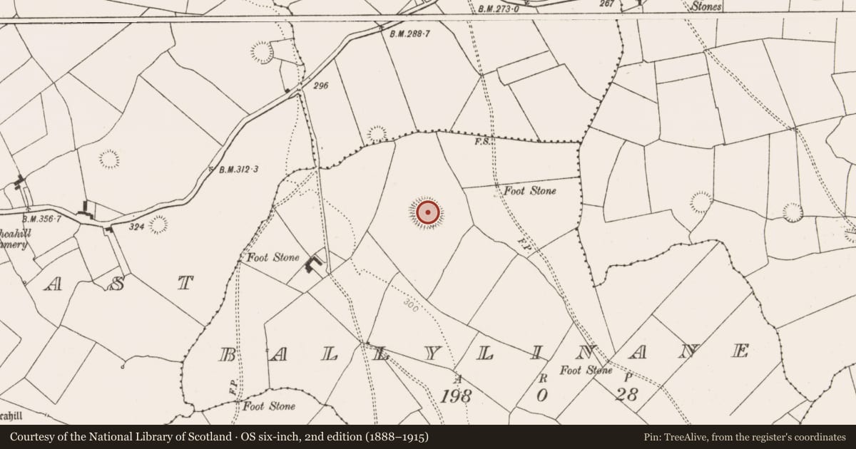 Ordnance Survey six-inch map, 2nd edition (1888–1915) covering the location of Ringfort - rath, Ballylinane, County Limerick, with a pin at the register's coordinates
