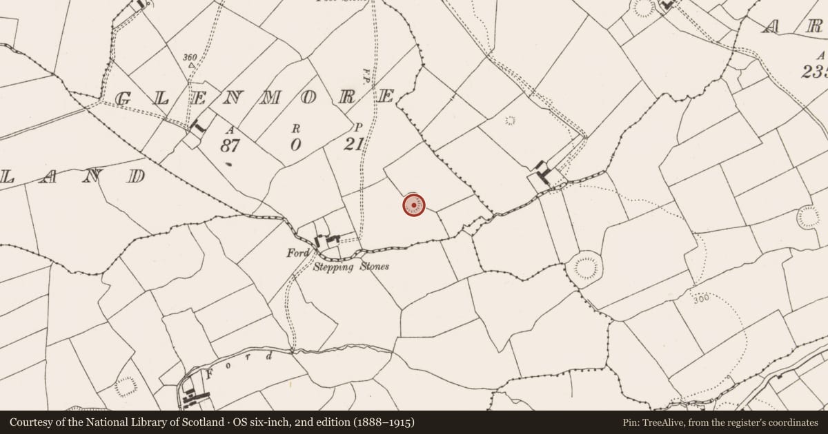 Ordnance Survey six-inch map, 2nd edition (1888–1915) covering the location of Ringfort - rath, Glenmore, County Limerick, with a pin at the register's coordinates