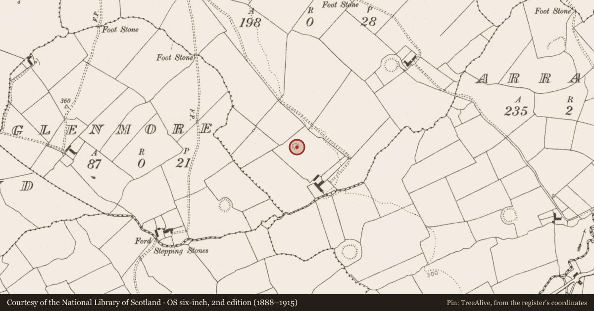 Ordnance Survey six-inch map, 2nd edition (1888–1915) covering the location of Ringfort - rath, Ballylinane, County Limerick, with a pin at the register's coordinates