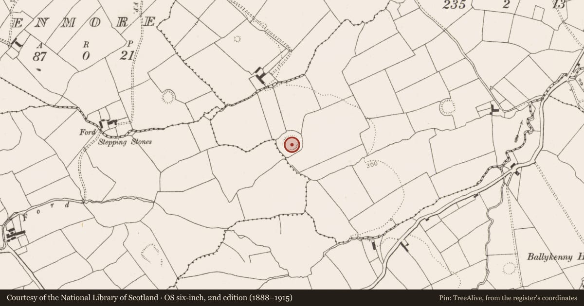 Ordnance Survey six-inch map, 2nd edition (1888–1915) covering the location of Ringfort - rath, Arranagh, County Limerick, with a pin at the register's coordinates