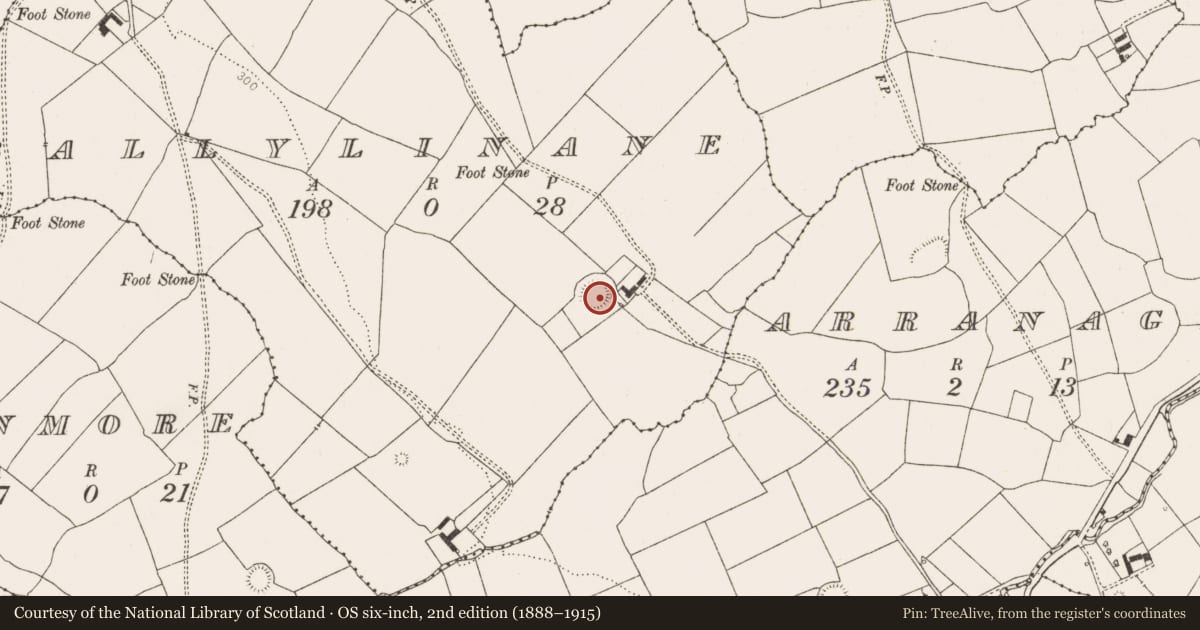 Ordnance Survey six-inch map, 2nd edition (1888–1915) covering the location of Ringfort - rath, Ballylinane, County Limerick, with a pin at the register's coordinates