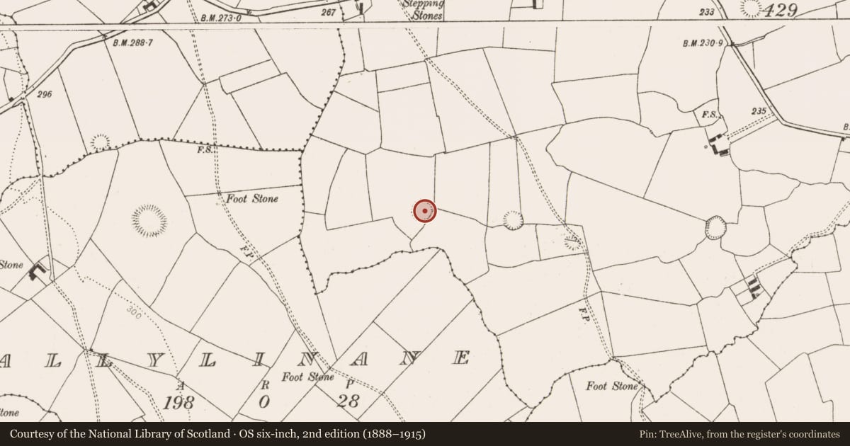 Ordnance Survey six-inch map, 2nd edition (1888–1915) covering the location of Ringfort - rath, Gardenfield, County Limerick, with a pin at the register's coordinates