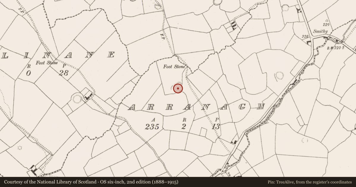 Ordnance Survey six-inch map, 2nd edition (1888–1915) covering the location of Moated site, Arranagh, County Limerick, with a pin at the register's coordinates