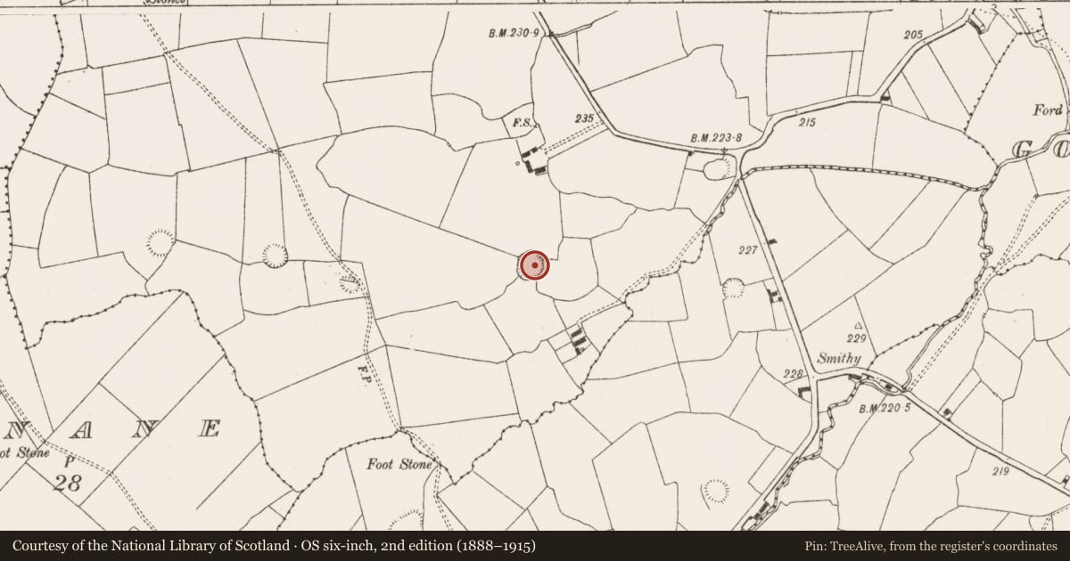 Ordnance Survey six-inch map, 2nd edition (1888–1915) covering the location of Ringfort - rath, Gardenfield, County Limerick, with a pin at the register's coordinates