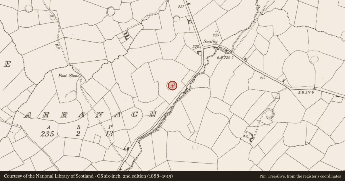 Ordnance Survey six-inch map, 2nd edition (1888–1915) covering the location of Ringfort - rath, Arranagh, County Limerick, with a pin at the register's coordinates