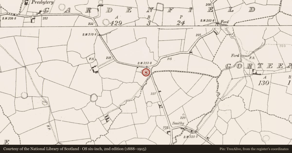 Ordnance Survey six-inch map, 2nd edition (1888–1915) covering the location of Ringfort - rath, Gardenfield, County Limerick, with a pin at the register's coordinates