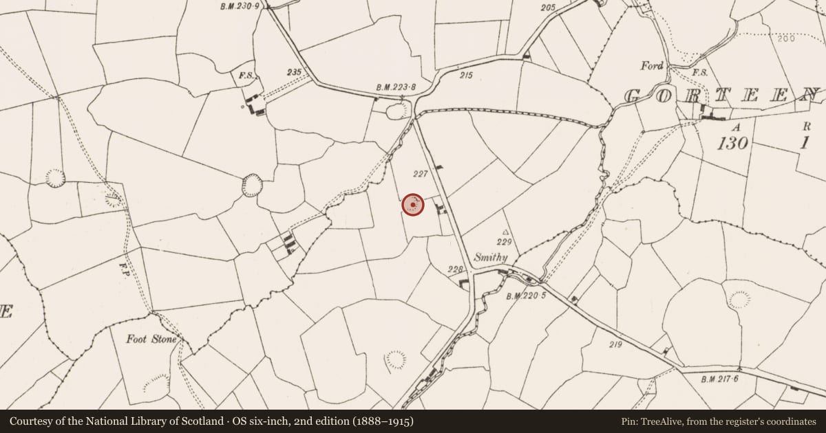 Ordnance Survey six-inch map, 2nd edition (1888–1915) covering the location of Ringfort - rath, Arranagh, County Limerick, with a pin at the register's coordinates