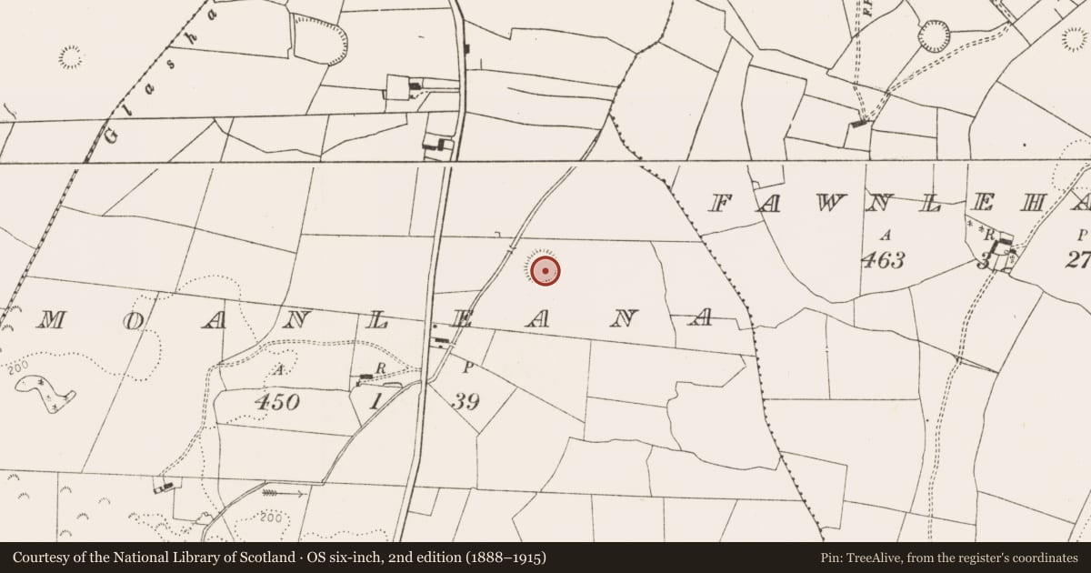 Ordnance Survey six-inch map, 2nd edition (1888–1915) covering the location of Ringfort - rath, Moanleana, County Limerick, with a pin at the register's coordinates