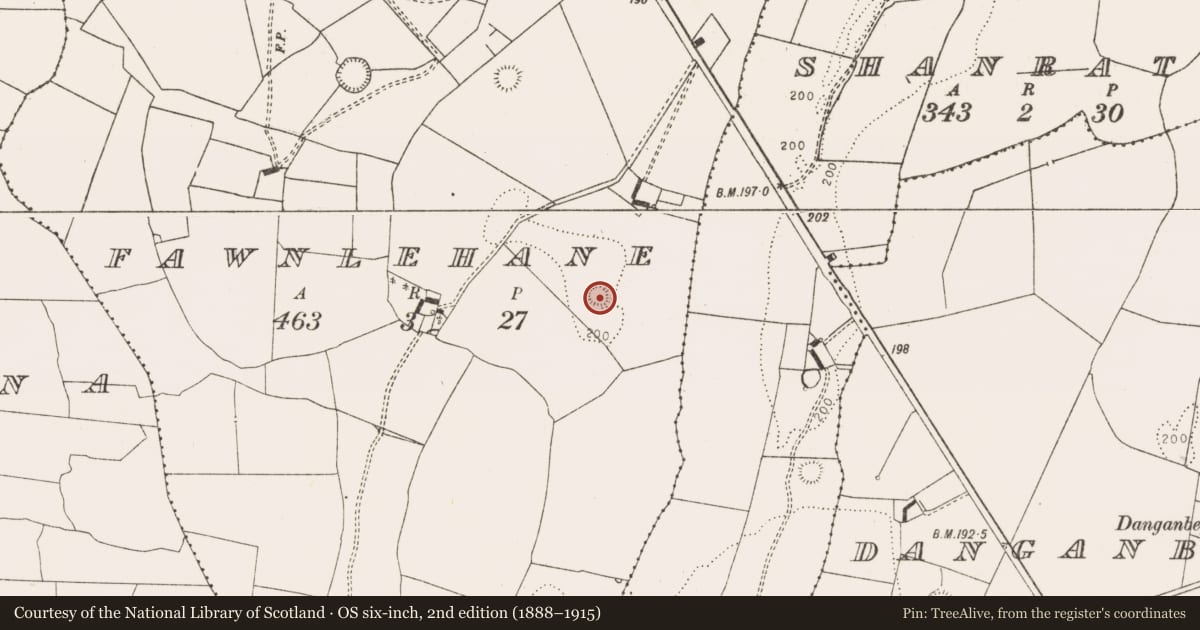 Ordnance Survey six-inch map, 2nd edition (1888–1915) covering the location of Ringfort - rath, Fawnlehane, County Limerick, with a pin at the register's coordinates