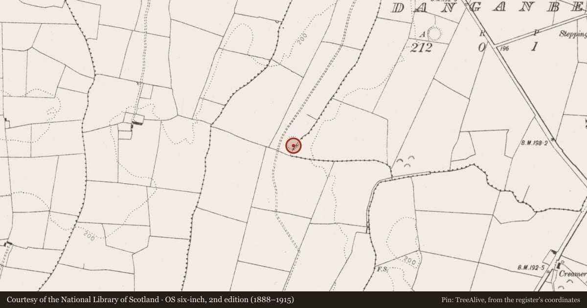 Ordnance Survey six-inch map, 2nd edition (1888–1915) covering the location of Ringfort - rath, Shanrath, County Limerick, with a pin at the register's coordinates