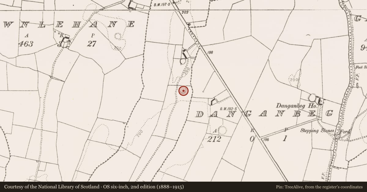 Ordnance Survey six-inch map, 2nd edition (1888–1915) covering the location of Ringfort - rath, Shanrath, County Limerick, with a pin at the register's coordinates