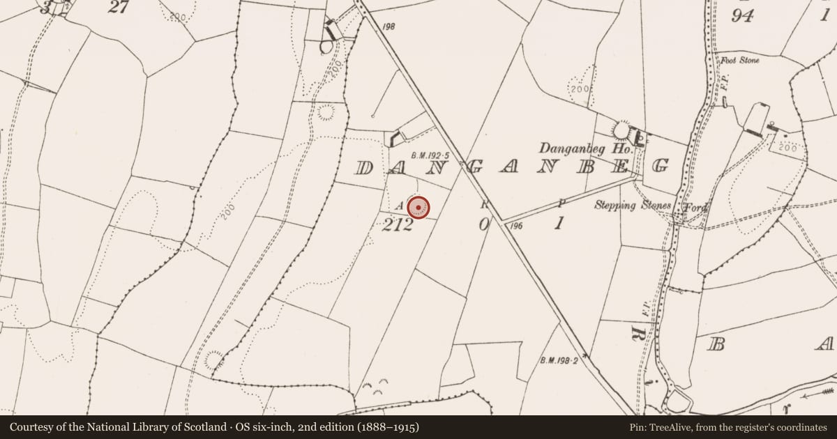 Ordnance Survey six-inch map, 2nd edition (1888–1915) covering the location of Ringfort - rath, Danganbeg, County Limerick, with a pin at the register's coordinates