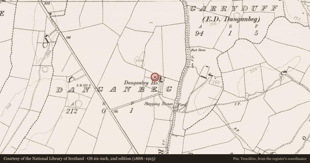 Ordnance Survey six-inch map, 2nd edition (1888–1915) covering the location of Ringfort - rath, Danganbeg, County Limerick, with a pin at the register's coordinates