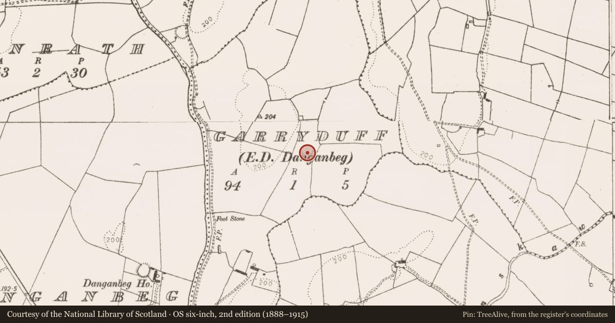 Ordnance Survey six-inch map, 2nd edition (1888–1915) covering the location of Ringfort - rath, Garryduff, County Limerick, with a pin at the register's coordinates