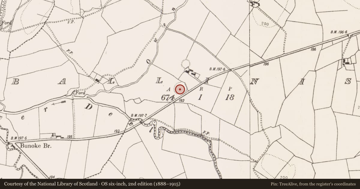Ordnance Survey six-inch map, 2nd edition (1888–1915) covering the location of Ringfort - rath, Balliniska, County Limerick, with a pin at the register's coordinates