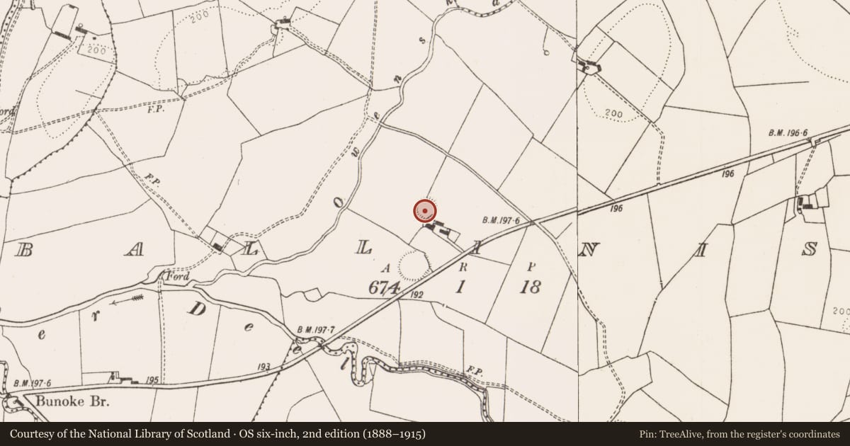Ordnance Survey six-inch map, 2nd edition (1888–1915) covering the location of Ringfort - rath, Balliniska, County Limerick, with a pin at the register's coordinates