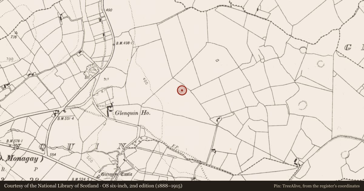 Ordnance Survey six-inch map, 2nd edition (1888–1915) covering the location of Moated site, Glenquin, County Limerick, with a pin at the register's coordinates