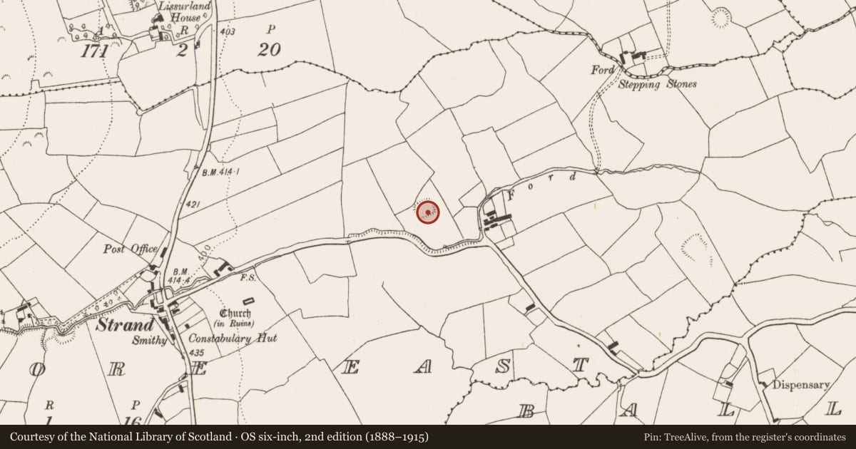 Ordnance Survey six-inch map, 2nd edition (1888–1915) covering the location of Moated site, Glenmore East, County Limerick, with a pin at the register's coordinates