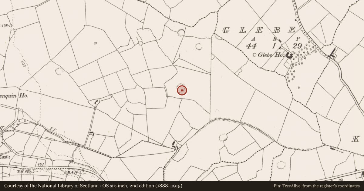 Ordnance Survey six-inch map, 2nd edition (1888–1915) covering the location of Ringfort - rath, Glenquin, County Limerick, with a pin at the register's coordinates