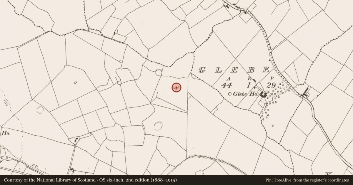 Ordnance Survey six-inch map, 2nd edition (1888–1915) covering the location of Ringfort - rath, Glenquin, County Limerick, with a pin at the register's coordinates