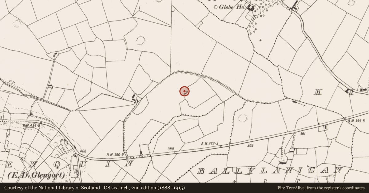 Ordnance Survey six-inch map, 2nd edition (1888–1915) covering the location of Ringfort - rath, Glenquin, County Limerick, with a pin at the register's coordinates