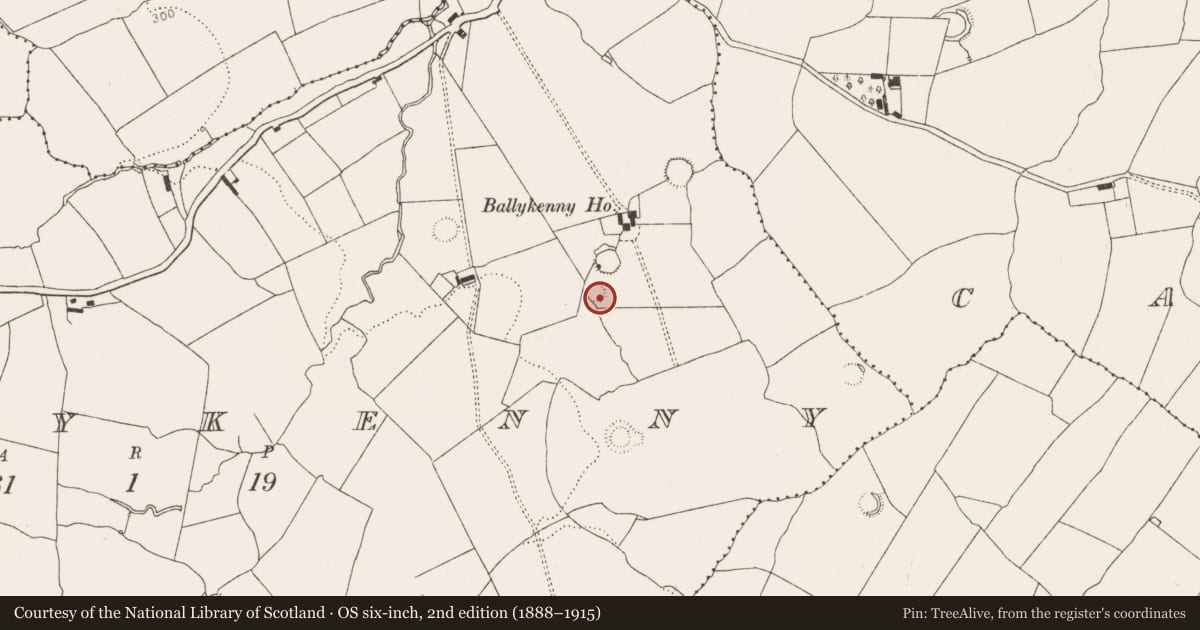 Ordnance Survey six-inch map, 2nd edition (1888–1915) covering the location of Ringfort - rath, Ballykenny, County Limerick, with a pin at the register's coordinates