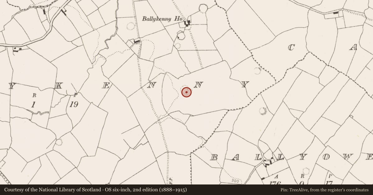 Ordnance Survey six-inch map, 2nd edition (1888–1915) covering the location of Ringfort - rath, Ballykenny, County Limerick, with a pin at the register's coordinates
