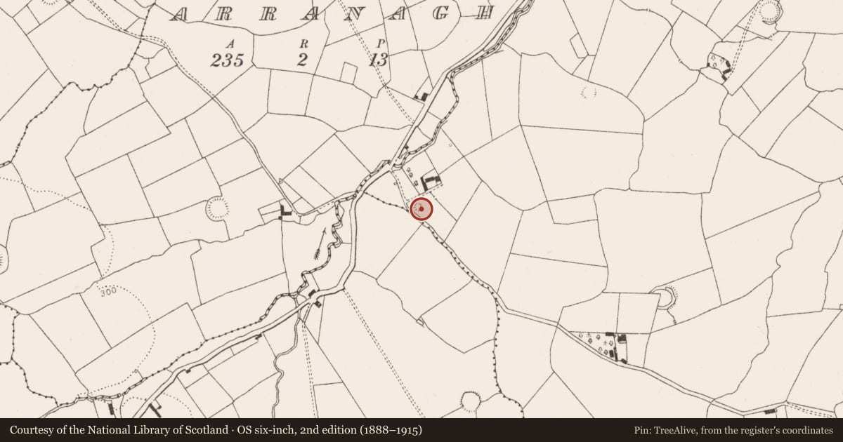 Ordnance Survey six-inch map, 2nd edition (1888–1915) covering the location of Enclosure, Camas, County Limerick, with a pin at the register's coordinates