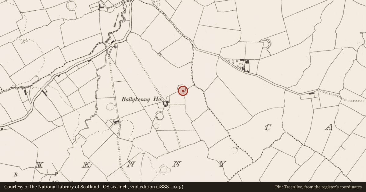 Ordnance Survey six-inch map, 2nd edition (1888–1915) covering the location of Ringfort - rath, Ballykenny, County Limerick, with a pin at the register's coordinates