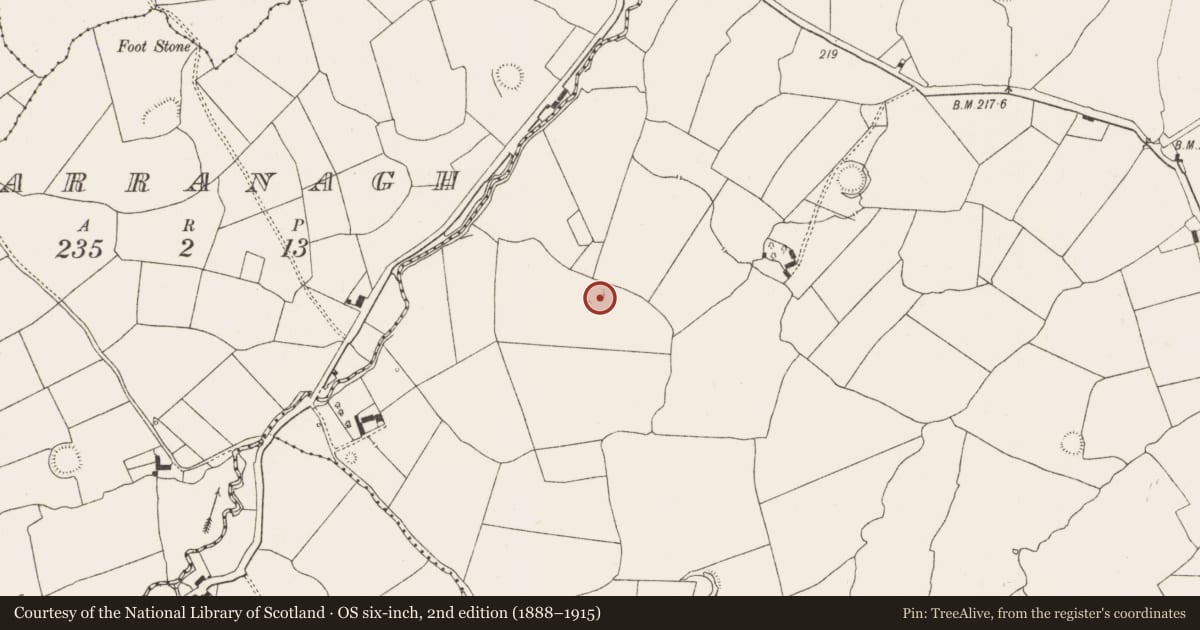 Ordnance Survey six-inch map, 2nd edition (1888–1915) covering the location of Ringfort - rath, Camas, County Limerick, with a pin at the register's coordinates
