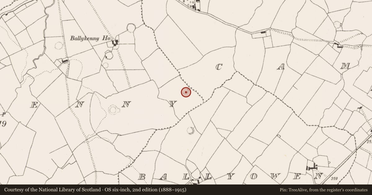 Ordnance Survey six-inch map, 2nd edition (1888–1915) covering the location of Ringfort - rath, Ballykenny, County Limerick, with a pin at the register's coordinates