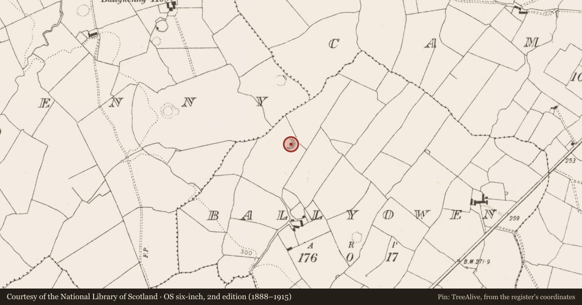 Ordnance Survey six-inch map, 2nd edition (1888–1915) covering the location of Ringfort - rath, Ballyowen, County Limerick, with a pin at the register's coordinates