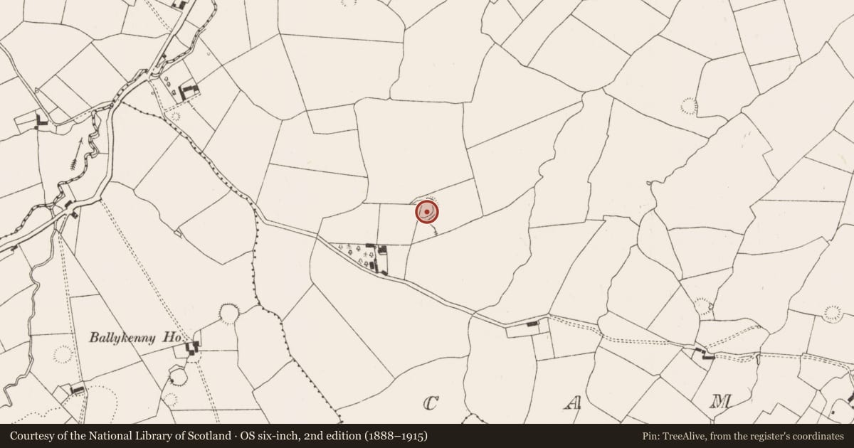 Ordnance Survey six-inch map, 2nd edition (1888–1915) covering the location of Ringfort - rath, Camas, County Limerick, with a pin at the register's coordinates