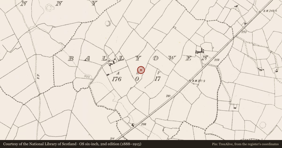 Ordnance Survey six-inch map, 2nd edition (1888–1915) covering the location of Ringfort - rath, Ballyowen, County Limerick, with a pin at the register's coordinates