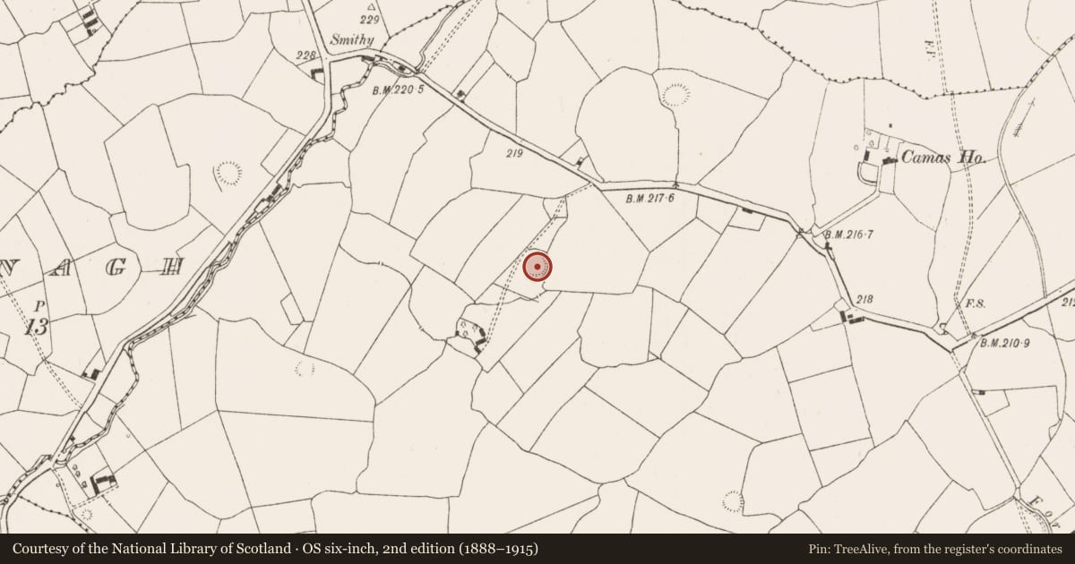 Ordnance Survey six-inch map, 2nd edition (1888–1915) covering the location of Ringfort - rath, Camas, County Limerick, with a pin at the register's coordinates