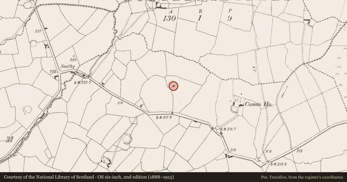 Ordnance Survey six-inch map, 2nd edition (1888–1915) covering the location of Ringfort - rath, Camas, County Limerick, with a pin at the register's coordinates