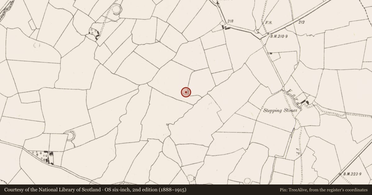 Ordnance Survey six-inch map, 2nd edition (1888–1915) covering the location of Ringfort - rath, Camas, County Limerick, with a pin at the register's coordinates