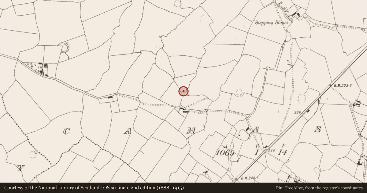 Ordnance Survey six-inch map, 2nd edition (1888–1915) covering the location of Enclosure, Camas, County Limerick, with a pin at the register's coordinates