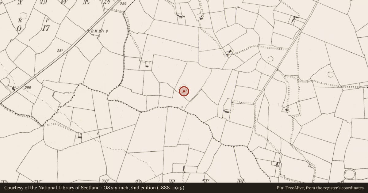 Ordnance Survey six-inch map, 2nd edition (1888–1915) covering the location of Ringfort - rath, Camas, County Limerick, with a pin at the register's coordinates