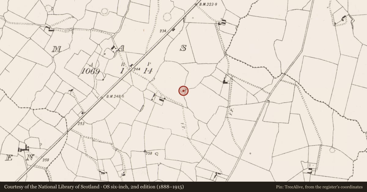 Ordnance Survey six-inch map, 2nd edition (1888–1915) covering the location of Ringfort - rath, Camas, County Limerick, with a pin at the register's coordinates