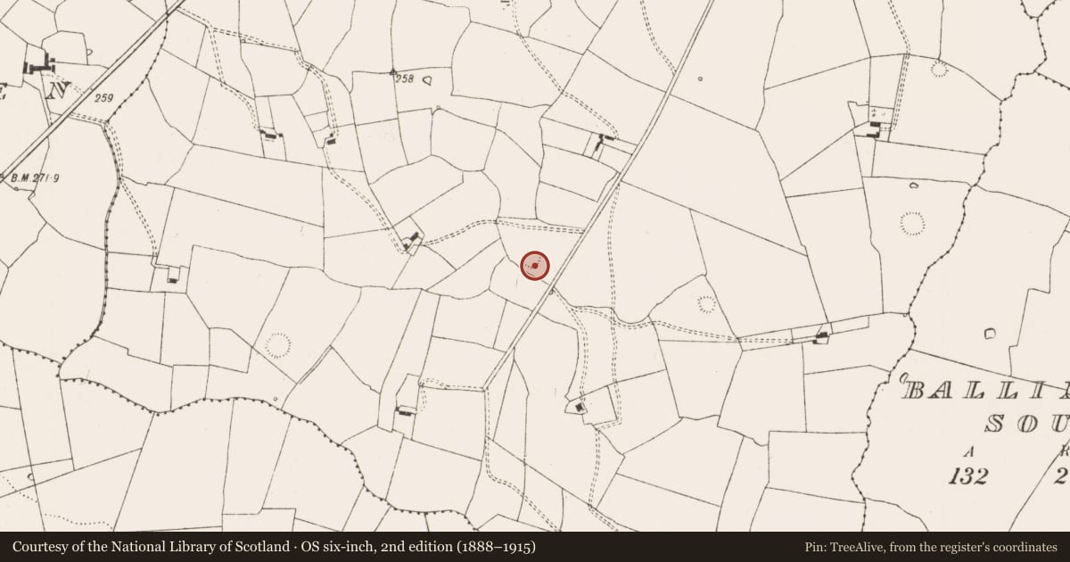 Ordnance Survey six-inch map, 2nd edition (1888–1915) covering the location of Ringfort - rath, Camas, County Limerick, with a pin at the register's coordinates