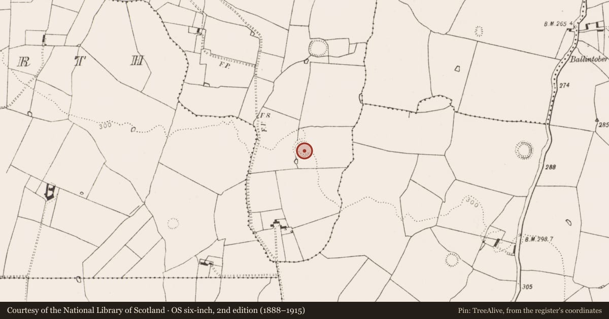 Ordnance Survey six-inch map, 2nd edition (1888–1915) covering the location of Ringfort - rath, Camas, County Limerick, with a pin at the register's coordinates