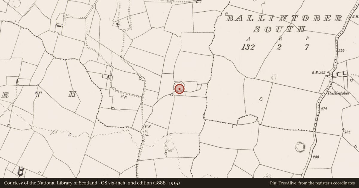 Ordnance Survey six-inch map, 2nd edition (1888–1915) covering the location of Ringfort - rath, Camas, County Limerick, with a pin at the register's coordinates
